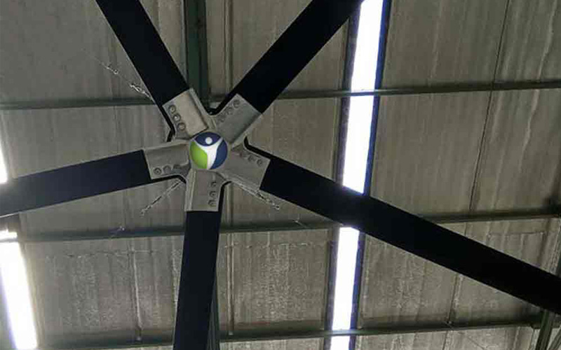 Large Ceiling Fan in Saraswati Vihar